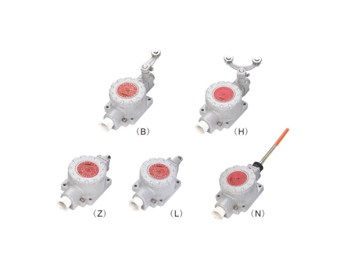 dLXK-C系列防爆行程開關(guān)